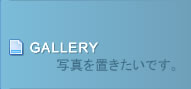 ギャラリー