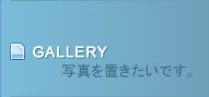ギャラリー